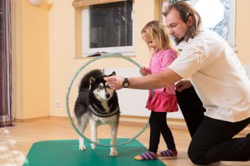 Therapie mit Hund